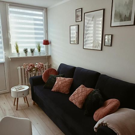 Apartament Apartament w Polanicy Polanica-Zdrój Zewnętrze zdjęcie